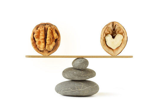 Balance scale made of zen stones with brain and heart shaped walnuts - Concept of wellnness and balance between heart and brain