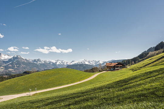 Scenic View from Sigiswang over Green Alpine Meadows to Famous Peaks of Allgaeu Alps including Rubihorn, Hoefats and Hohes Licht along Heilbronner Hoehenweg, Bavaria, Southern Germany