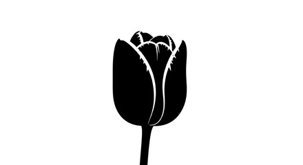 Black Tulip Silhouette with White Highlights. © Busmarstd