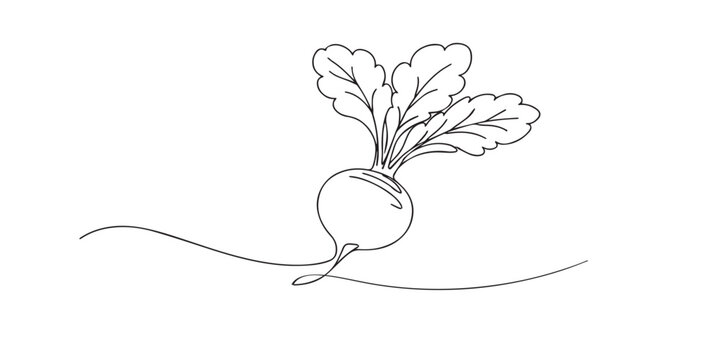 single line beetroot.continuous line drawing of fresh beetroot with leaves.organic food and healthy nutrition concept.one line vector illustration.