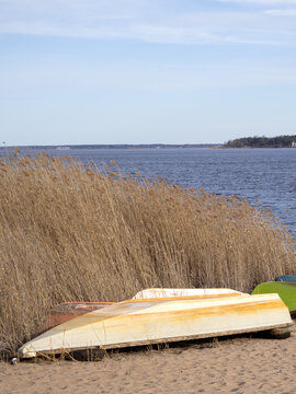 Abandoned wooden boat resting near reeds on calm lakeshore in soft spring light. Atmospheric natural scene with rustic textures. Concept of solitude, time passing in Siemianowka, Poland.