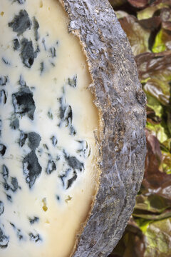 Macro shot of a slice of Fourme d'Ambert cheese showing blue veins, with lettuce in the background
