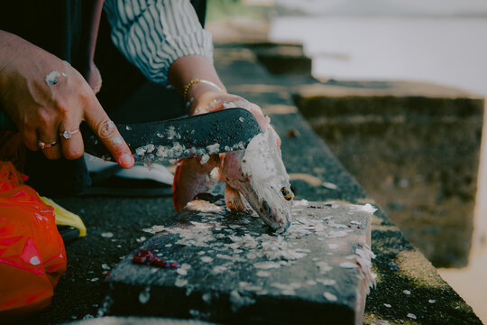 Person cleaning fresh fish with knife on outdoor stone surface