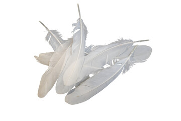 Messy pile of light white feathers on png background. © BEST