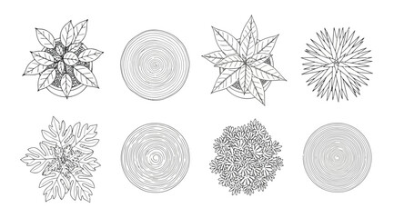 Top view of various indoor plants and trees in pots for architectural design © S.Siam