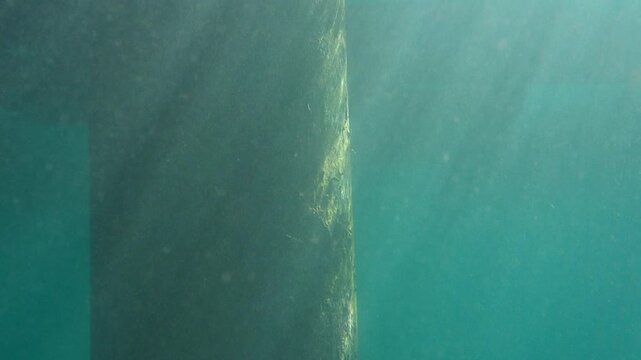 Sun rays shining through murky water on algae-covered pier columns