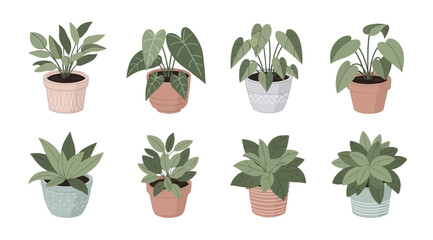 Collection of various indoor potted plants with green leaves in colorful ceramic pots © S.Siam