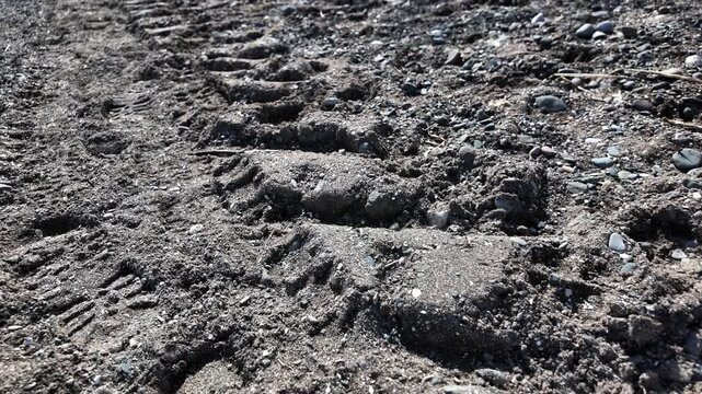 Impressed tire tracks creating textured lines on a dark, wet beach surface