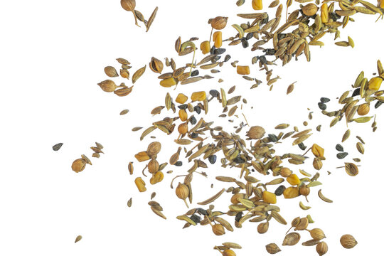Scattered panch phoran spice blend seeds falling on png background for dynamic food action and cooking concepts.