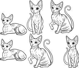 Fototapeta premium Minimalist line art drawing Sphynx cat hairless body breed pet contour illustration clipart veterinary clinics pet shops logo playful character outline coloring book realistic cartoon drawing contour