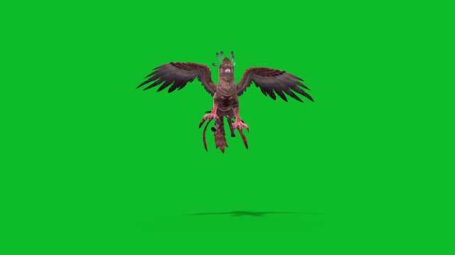 Green Screen Griffin Attack Front Loop Mythological Creature 3D Animation CGI Rendering 4K