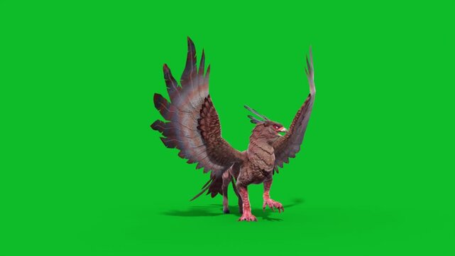 Green Screen Griffin Idle Loop Mythological Creature 3D Animation CGI Rendering 4K