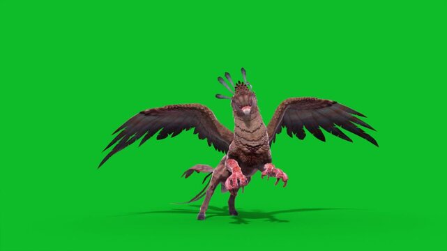 Green Screen Griffin Die Mythological Creature 3D Animation CGI Rendering 4K