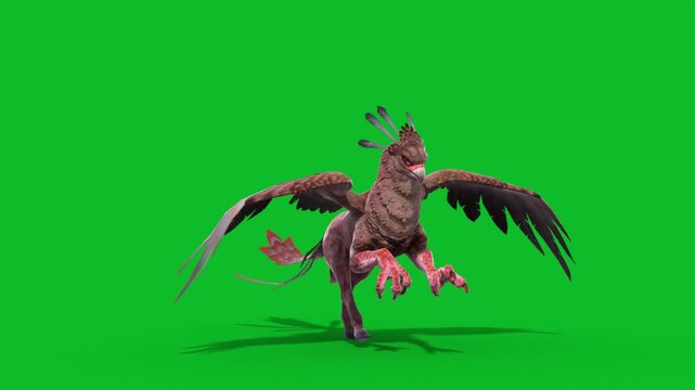 Green Screen Griffin Runcycle Loop Mythological Creature 3D Animation CGI Rendering 4K