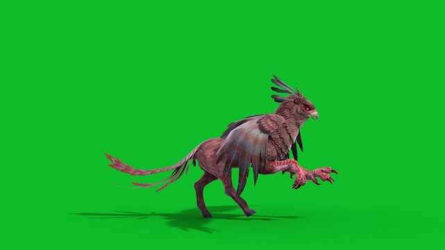 Green Screen Griffin Runcycle Loop Side Mythological Creature 3D Animation CGI Rendering 4K