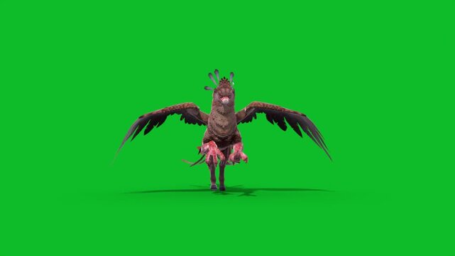 Green Screen Griffin Runs Front Mythological Creature 3D Animation CGI Rendering 4K