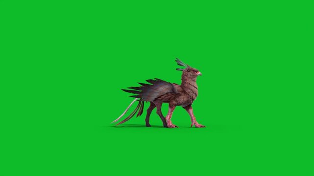 Green Screen Griffin Walks Side Mythological Creature 3D Animation CGI Rendering 4K