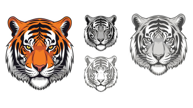 Detailed illustrations of tiger heads in different artistic styles including a full color version and three grayscale designs.
