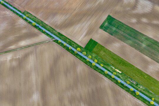 Aerial view of a straight road cutting through fields, lined with trees, contrasting green and brown hues, Neuf-Brisach, Grand Est, France.