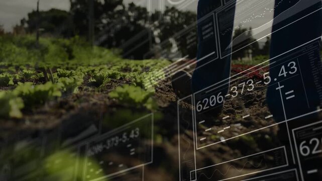 Soil sensors activating HUD overlays while farmer boots walking furrow monitoring crop health