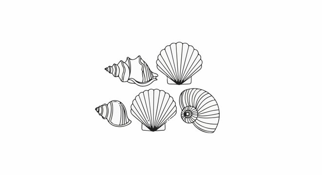 A collection of five distinct seashells illustrated in black outline on a white background