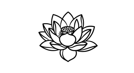 Fototapeta premium Flower lotus with open petals and decorative center in black outline featuring drawing, line art, illustration with icon and symbol elements for
