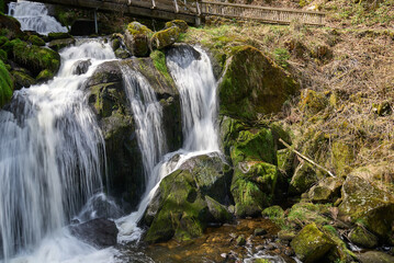 Obraz premium Scenic waterfall flowing through a lush green forest