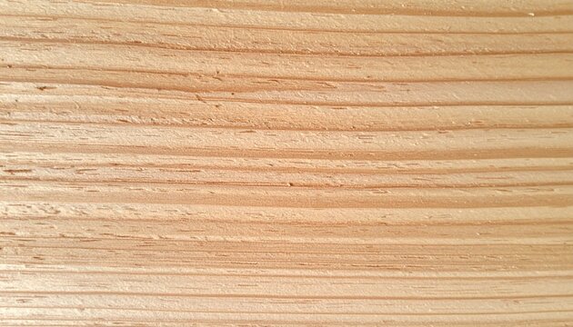 自然光のもと細かな年輪と木目が美しいナチュラルブラウンの木肌テクスチャ写真