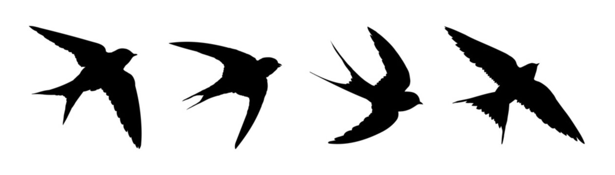 Flying swallow silhouettes set, vector illustration 