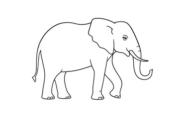 Fototapeta premium elephant vector illustration