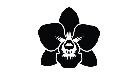 A striking black orchid bloom is displayed against a white background creating a dramatic silhouette high quality professional © jivect02