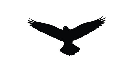 Fototapeta premium A striking black silhouette of a bird with outstretched wings in mid flight conveying freedom and power silhouette