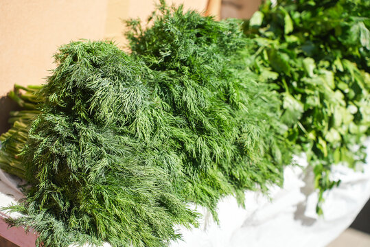 Fresh bio vegetables and herbs on street farmer market. Typical local agricultural fair of weekend. Sale of organic veggies - kale salad, parsley, dill, coriander, green onions, latuck, herbs