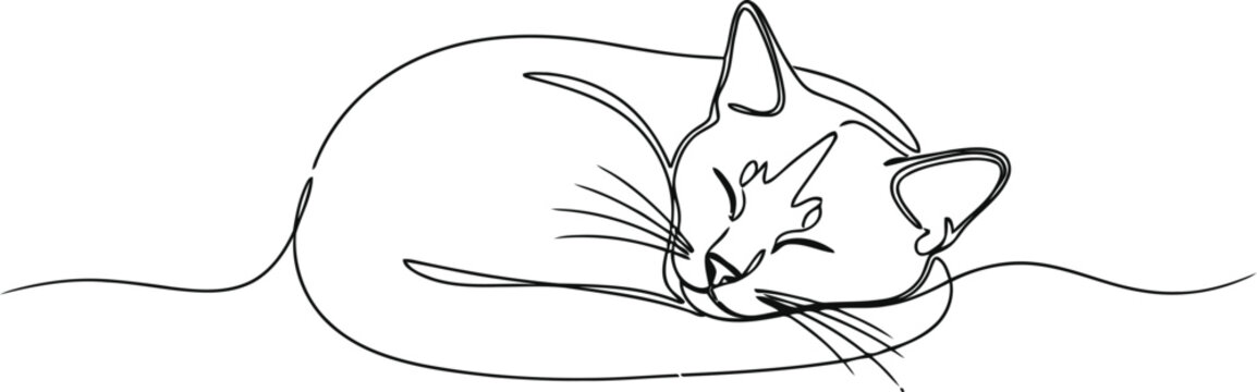 Simple line drawing of a sleeping cat curled up comfortably