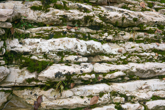 Stone wall with moss and lichen. Natural stone background texture.