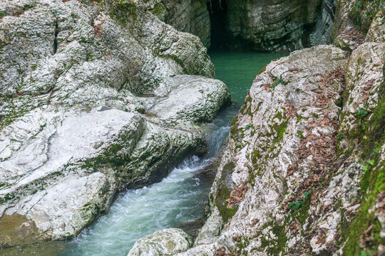 Canyon in the forest. Mountain stream flows through the gorge.