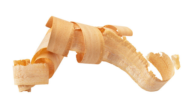 Abstract wood shavings sawdust isolated on transparent background	