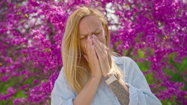 Blonde woman suffering from seasonal allergies sneezing and blowing nose with tissue near blooming tree. Hay fever, spring allergy, health problem and illness concept.