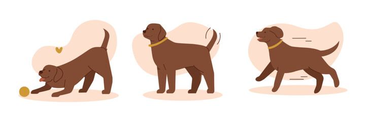 Brown dog plays with ball, then stands alert. Dogs appear happy, energetic, playful. Ideal for pet care, dog training, or family fun visuals. Cartoon style appeals to young audiences or pet lovers © Domestock