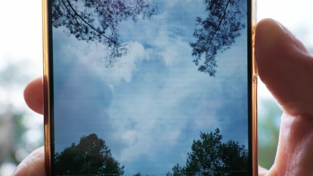 Person holds a smartphone to capture a breathtaking low angle view of pine tree branches against a soft blue sky and white clouds. Concept of appreciating nature through modern technology.
