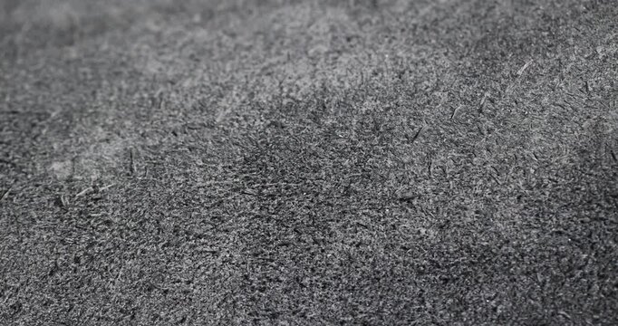 High contrast leather surface, black leather surface with a complex network of wrinkles and shiny peaks with an authentic look and clear organic material details.