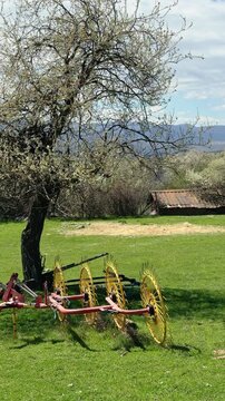 Vertical 4K shot of an old threshing machine resting in a green pasture beside a blossoming spring tree, illustrating traditional farming equipment and seasonal rural landscape.