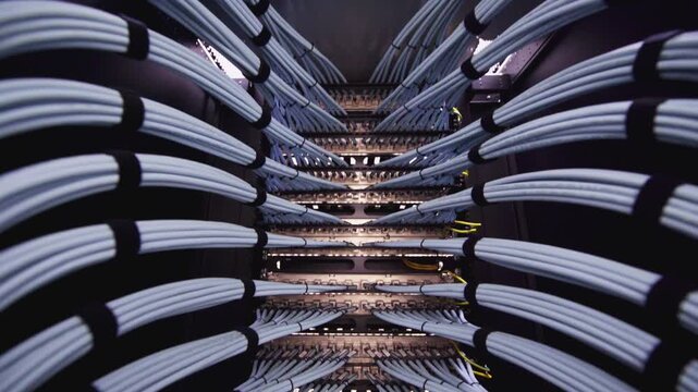 A close-up view of an organized network of cables in a server room, showcasing the complexity of data transmission and technology infrastructure