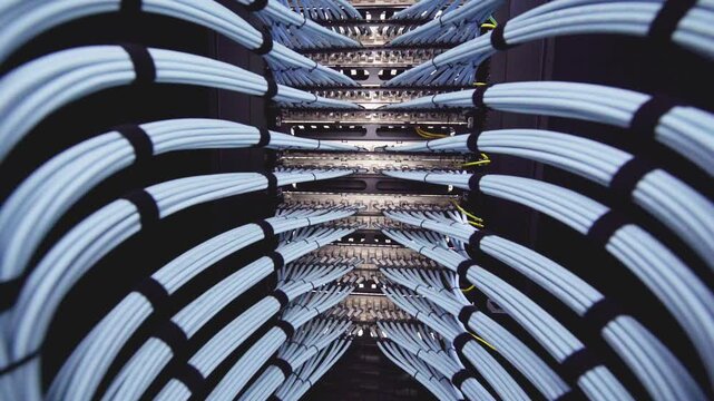 A close-up view of an organized network of cables in a server room, showcasing the complexity of data transmission and technology infrastructure