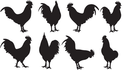 Rooster silhouettes set with black farm bird shapes in various poses for vector style icons and designs © Harry 