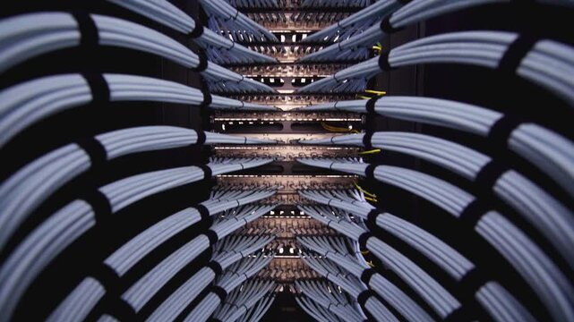 A close-up view of an organized network of cables in a server room, showcasing the complexity of data transmission and technology infrastructure