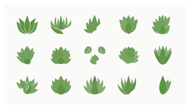 Filled agave icon set with desert succulent plant and botanical leaf symbols for eco and nature design