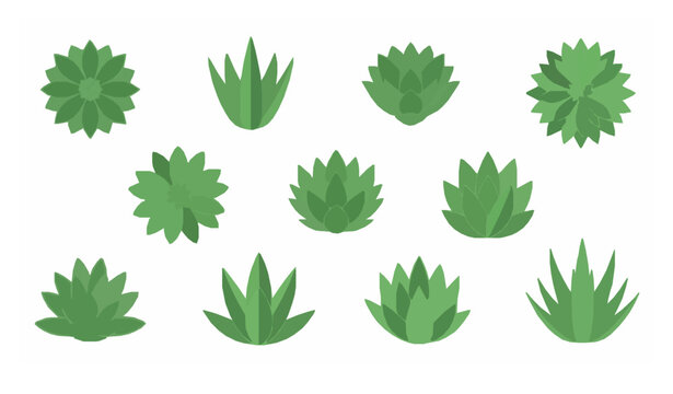 Flat filled agave plant icon collection with succulent desert leaf symbols for eco and botanical design