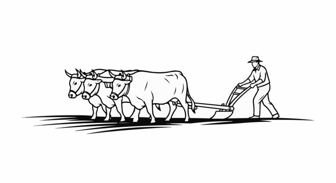 Farmer guiding oxen pulling a plow through a field