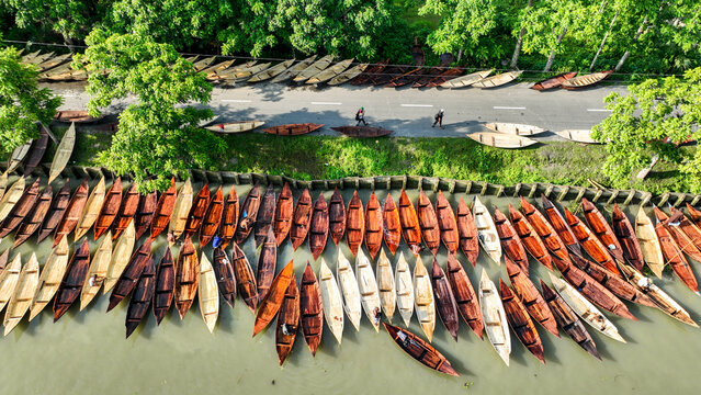 Aerial view of boats lined up along the riverbank, creating a striking contrast between the earthy tones of the boats and the lush green foliage, Pirojpur Pourashava, Barisal Division, Bangladesh.